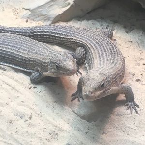 Meet your Posher, Jay